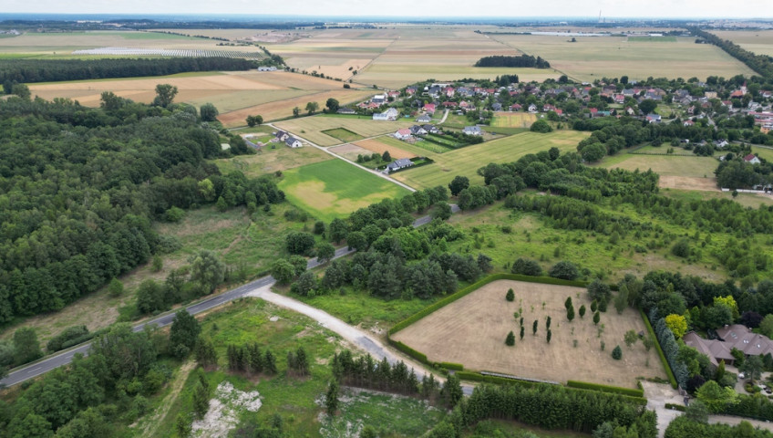 Działka Sprzedaż Różanki