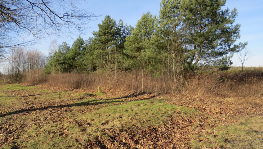 Działka Sprzedaż Różanki