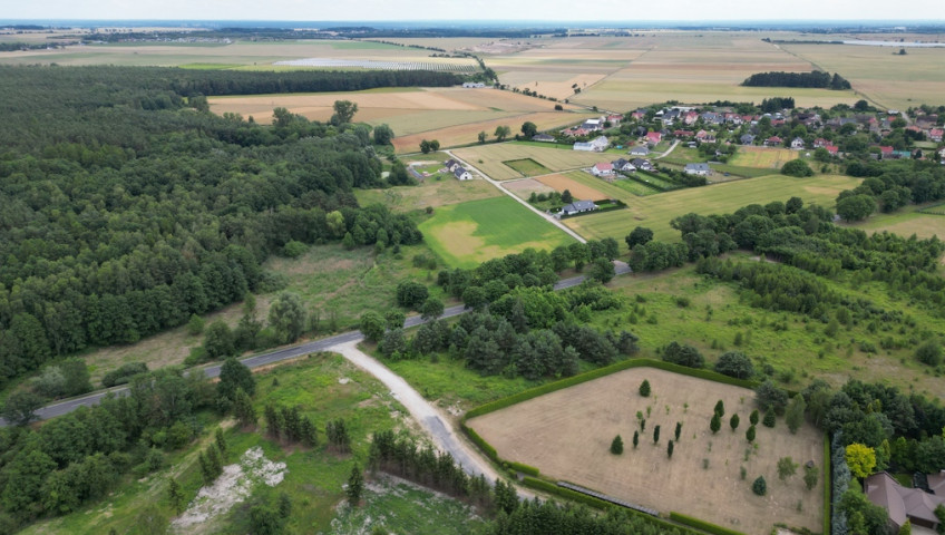 Działka Sprzedaż Różanki