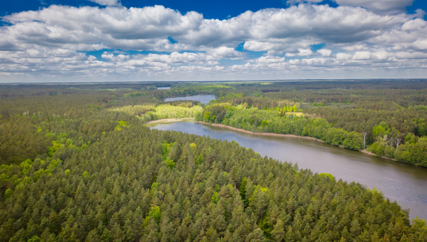 Dom Sprzedaż Rybakowo