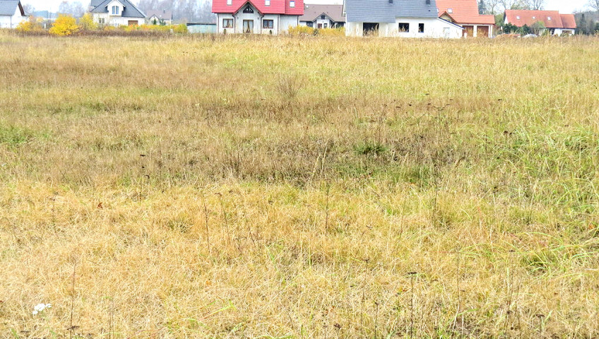 Działka Sprzedaż Prądocin