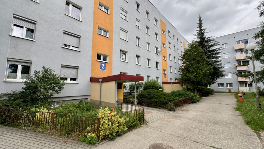 Mieszkanie Wynajem Gorzów Wielkopolski Górczyn