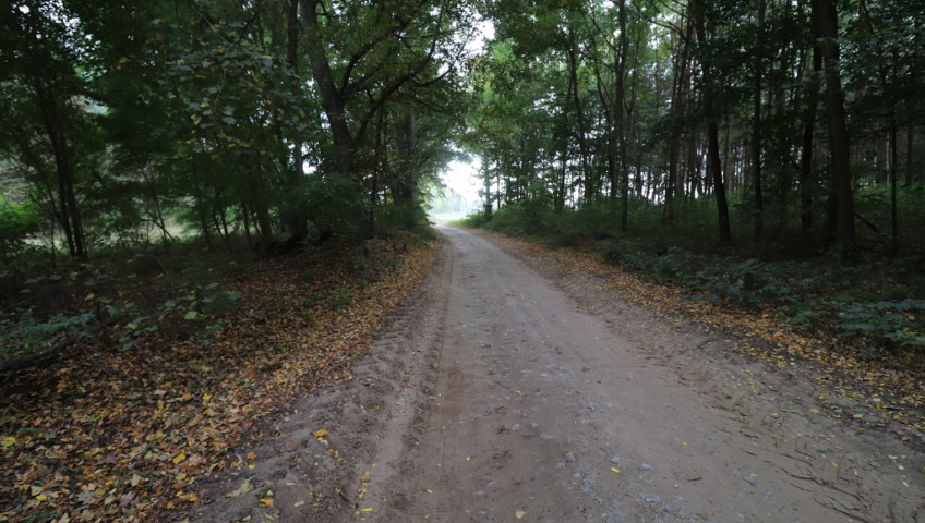Działka Sprzedaż Mironice