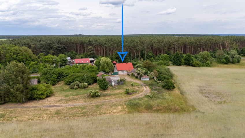 Dom Sprzedaż Mościce