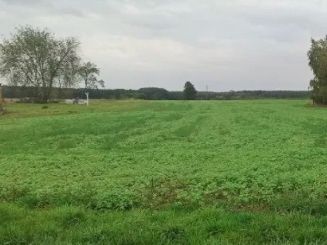 Działka Sprzedaż Ściechów