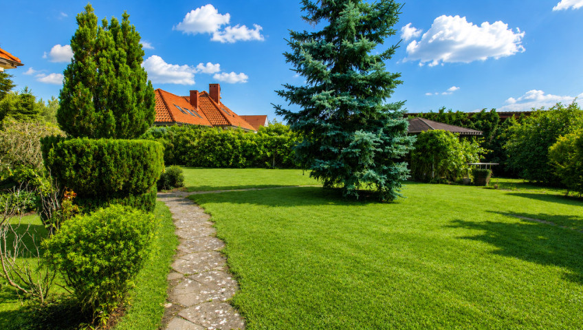 Dom Sprzedaż Gorzów Wielkopolski