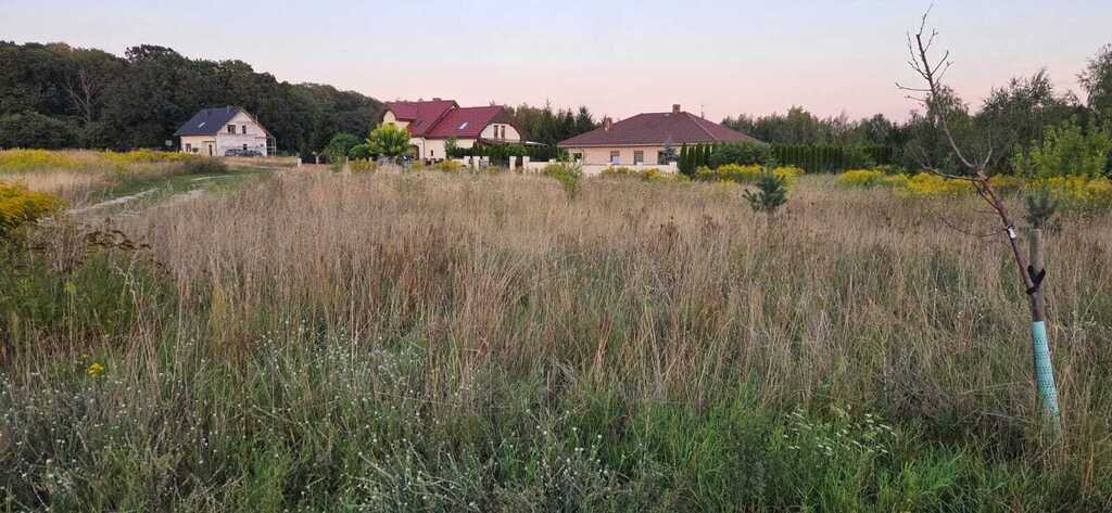 Działka Sprzedaż Janczewo