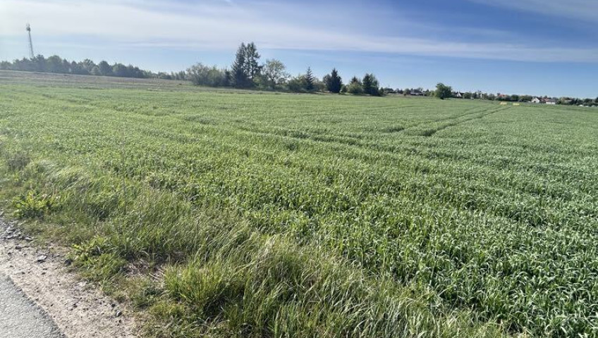 Działka Sprzedaż Gorzów Wielkopolski Siedlice Skrajna