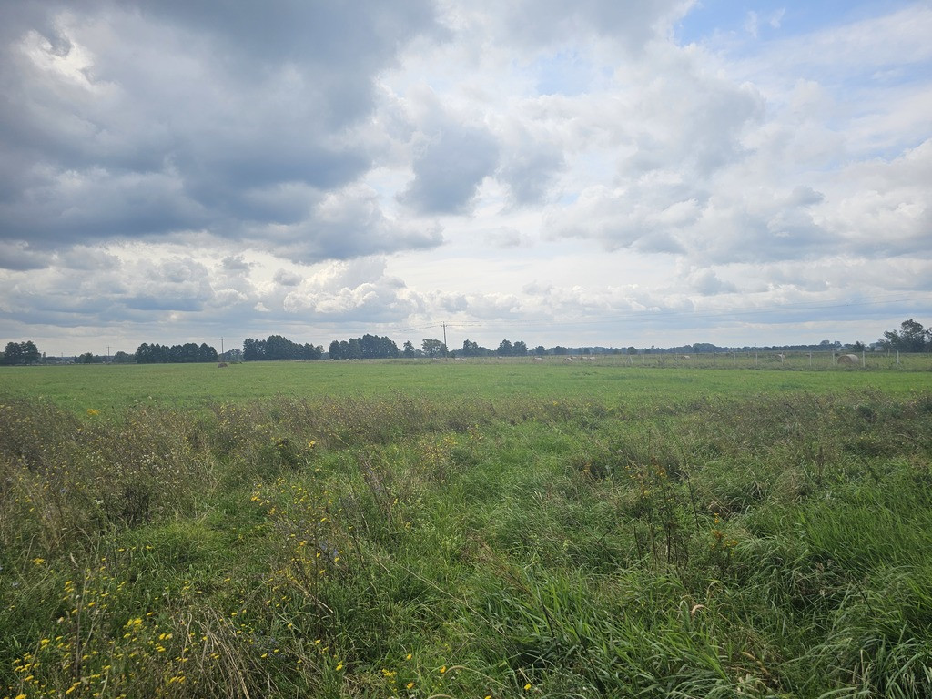 Działka Sprzedaż Prądocin