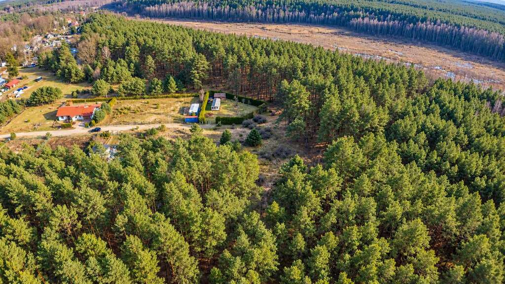 Działka Sprzedaż Santoczno