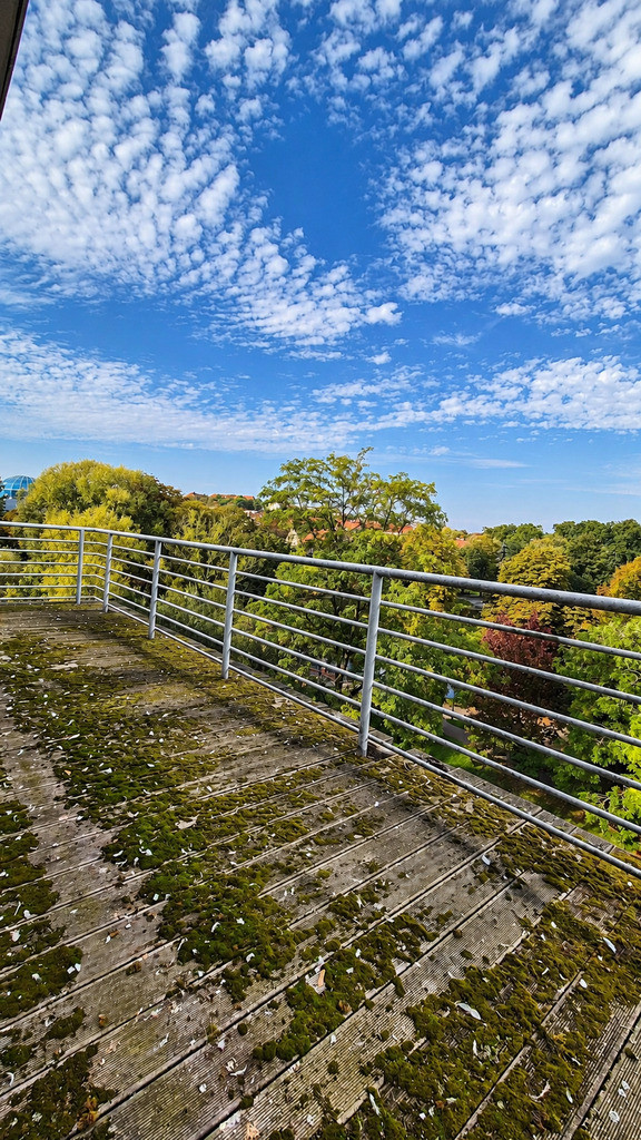 Mieszkanie Sprzedaż Gorzów Wielkopolski Centrum