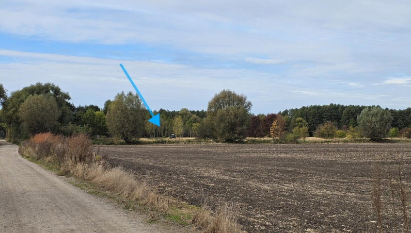 Działka Sprzedaż Ulim Rolna