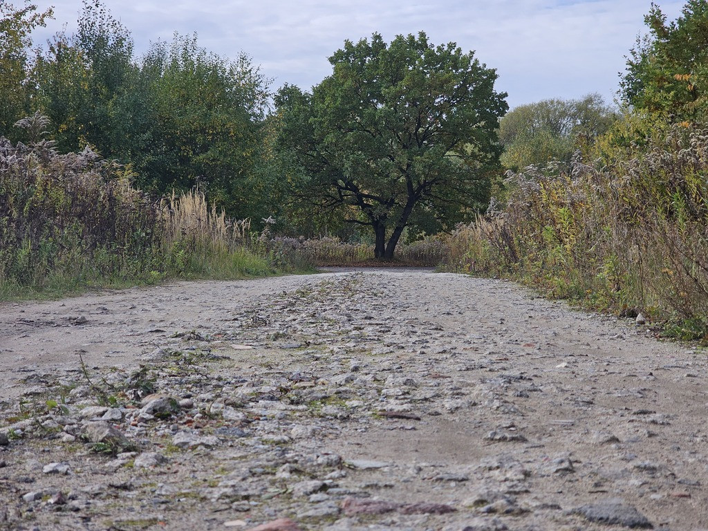 Działka Sprzedaż Gorzów Wielkopolski Chróścik Zbożowa