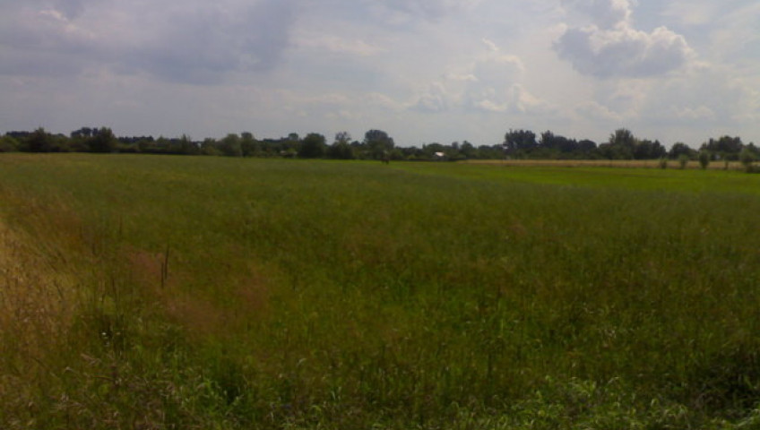 Działka Sprzedaż Gorzów Wielkopolski