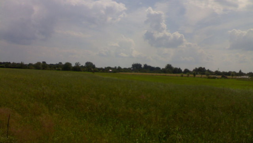 Działka Sprzedaż Gorzów Wielkopolski
