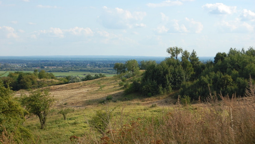 Dom Sprzedaż Gorzów Wielkopolski os. Europejskie