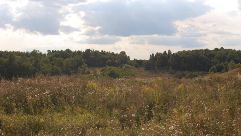 Dom Sprzedaż Gorzów Wielkopolski os. Europejskie