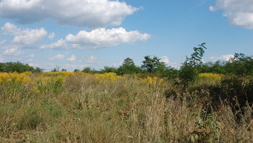 Działka Sprzedaż Wawrów