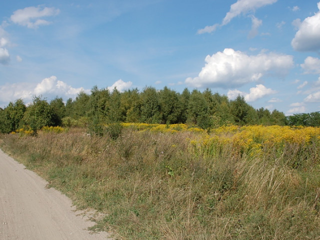 Działka Sprzedaż Wawrów