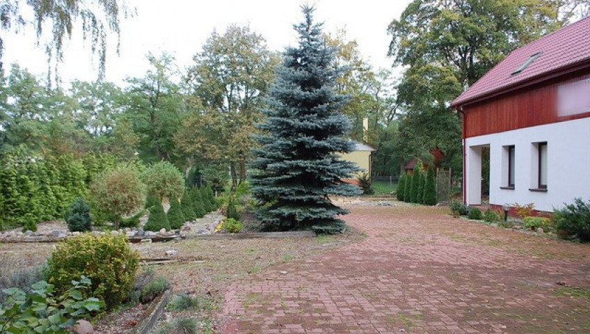 Dom Sprzedaż Santoczno
