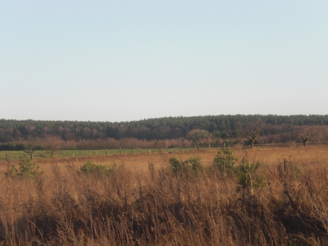 Działka Sprzedaż Pniów