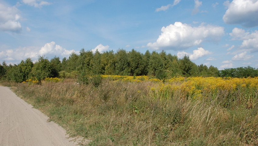Dom Sprzedaż Wawrów
