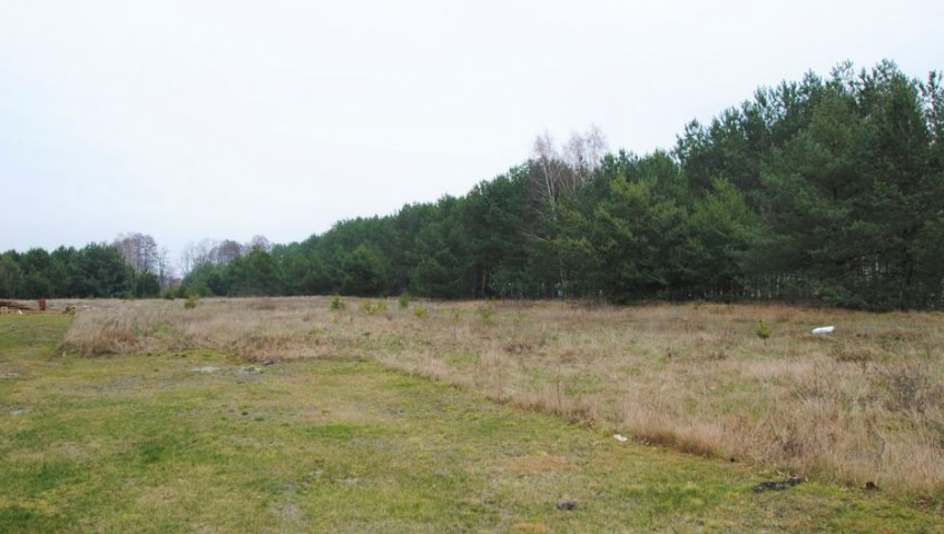 Działka Sprzedaż Glinik