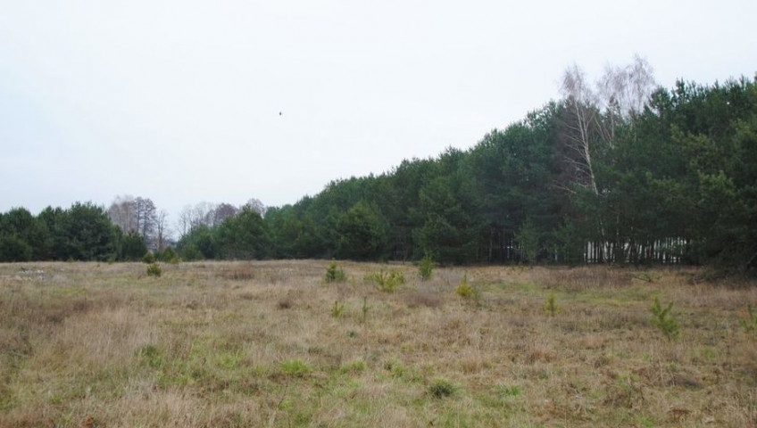 Działka Sprzedaż Dzierżów