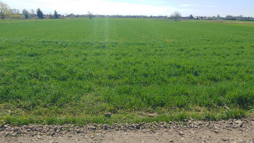 Działka Sprzedaż Gorzów Wielkopolski Zakanale