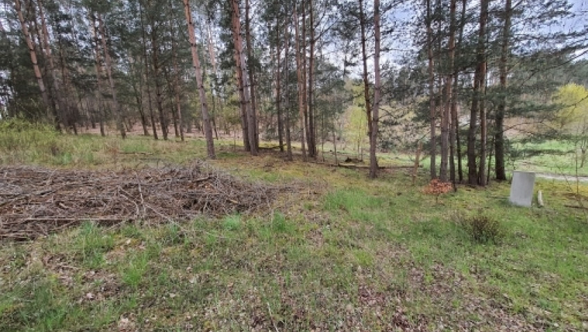 Działka Sprzedaż Wełmin