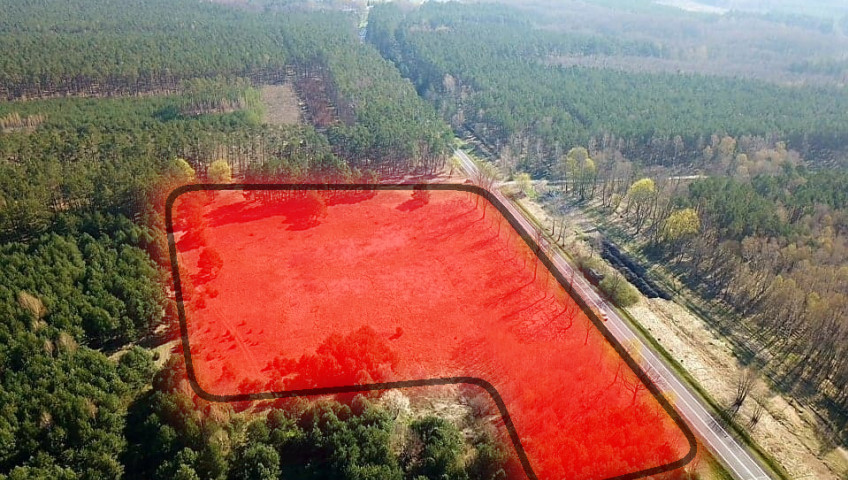 Działka Sprzedaż Krzeszyce