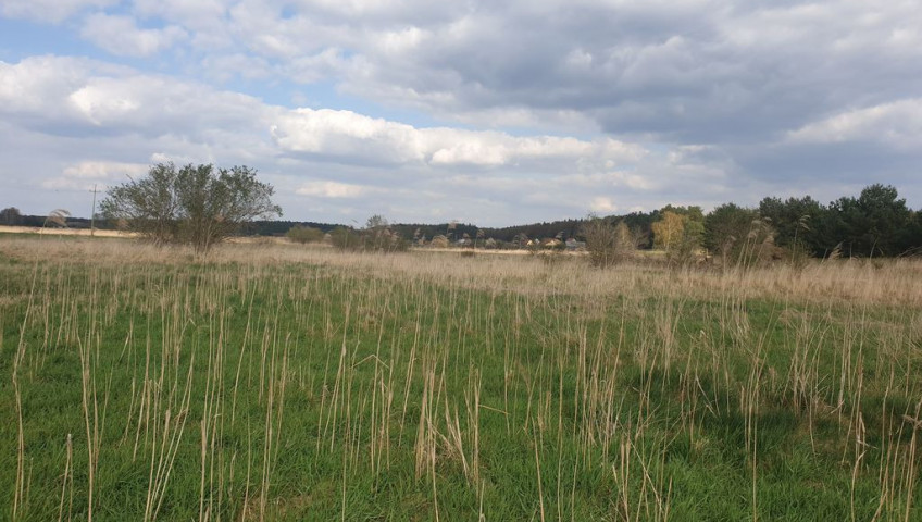 Działka Sprzedaż Łośno