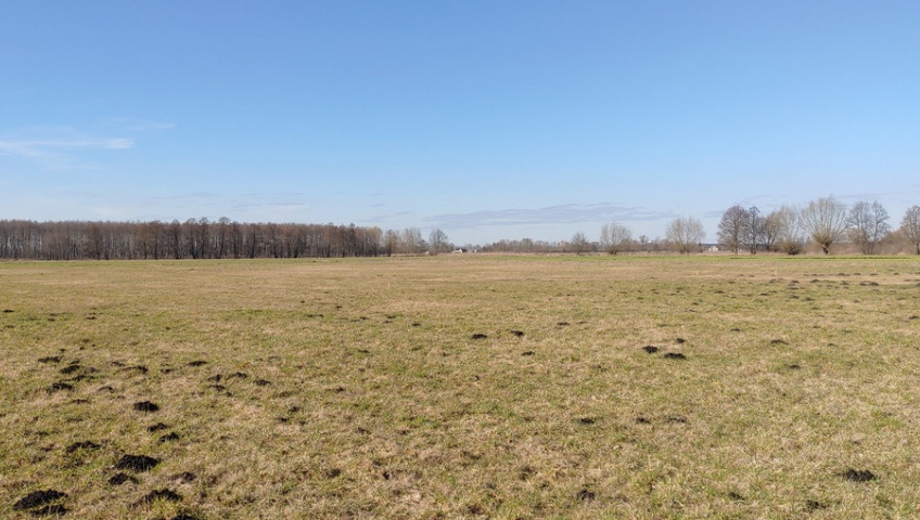 Działka Sprzedaż Bolemin