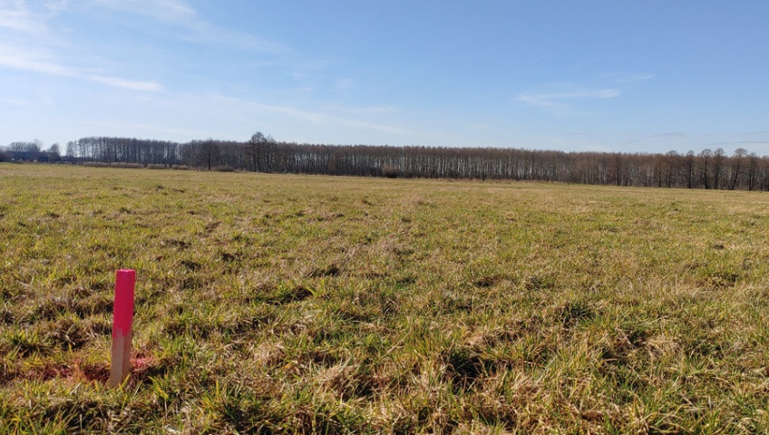 Działka Sprzedaż Bolemin