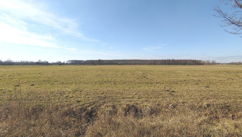 Działka Sprzedaż Bolemin