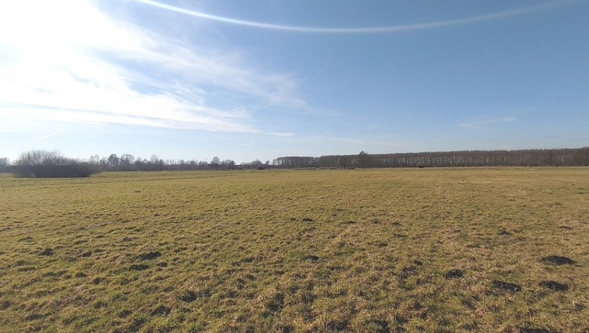 Działka Sprzedaż Bolemin