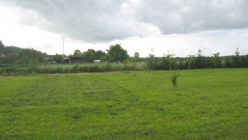 Działka Sprzedaż Witnica