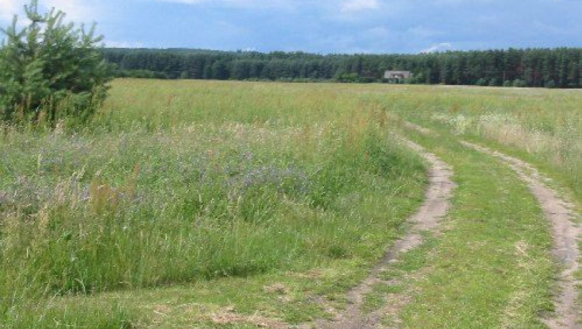 Działka Sprzedaż Witnica