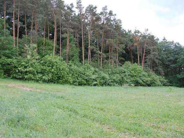 Działka Sprzedaż Stanowice
