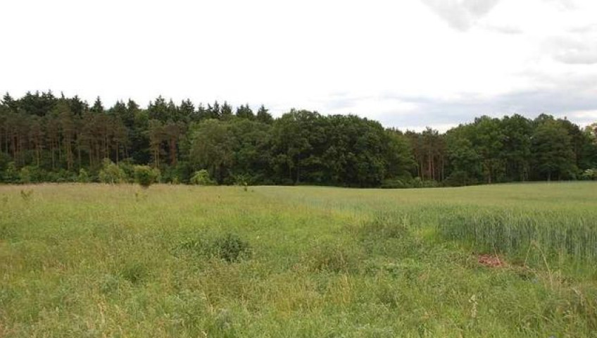 Działka Sprzedaż Stanowice