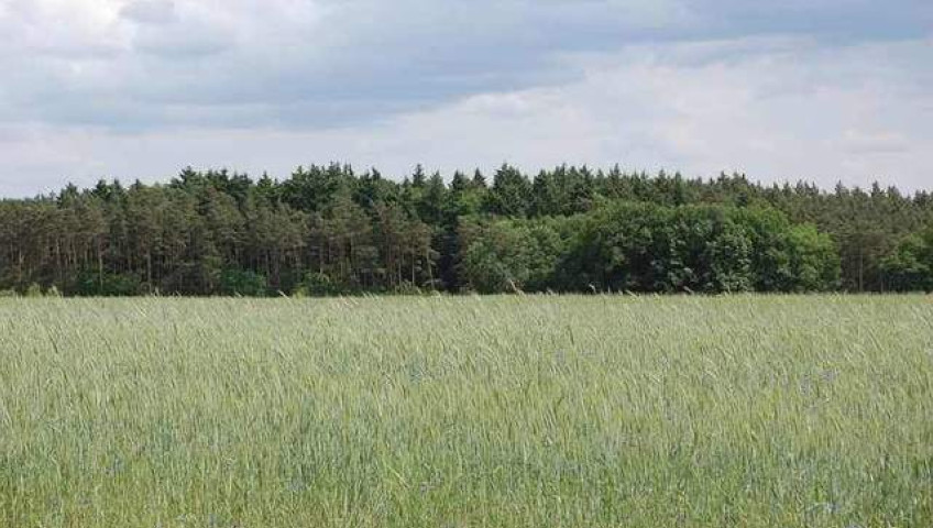 Działka Sprzedaż Stanowice