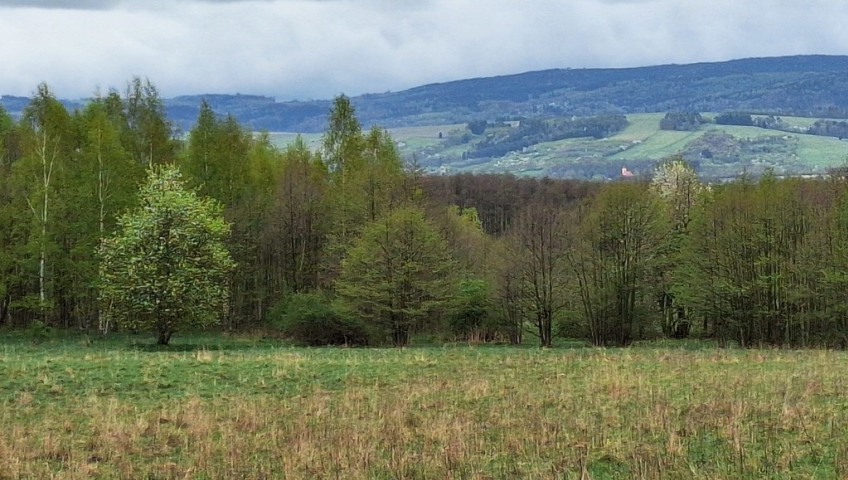 Działka Sprzedaż Jaworek