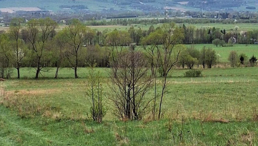 Działka Sprzedaż Jaworek
