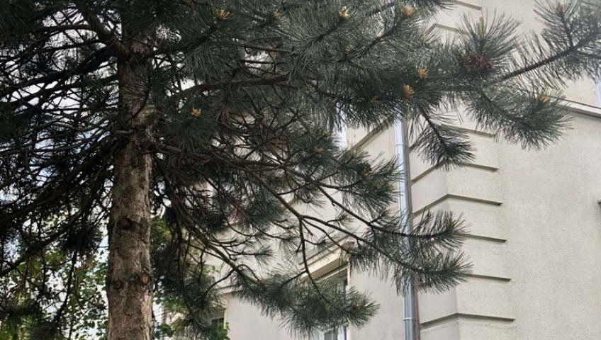 Mieszkanie Sprzedaż Gorzów Wielkopolski os. Piaski