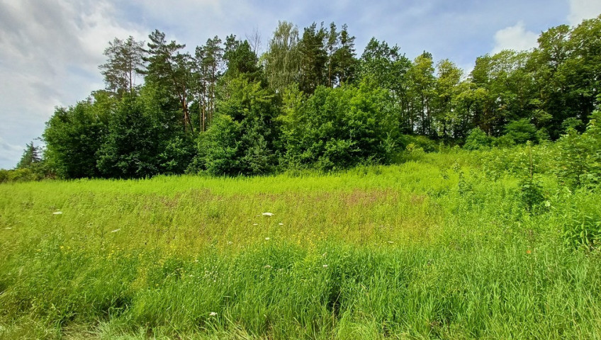 Działka Sprzedaż Jenin